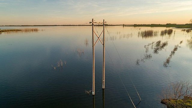 © Unsplash/Justin Wilkens Wasser überflutet landwirtschaftliche Flächen vollständig.